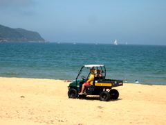 Dune buggy