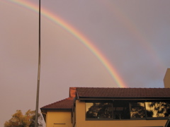 The other end of the rainbow is at Patrick's!